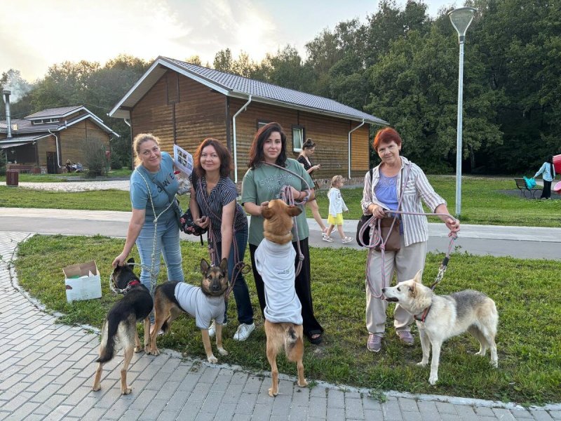 Приют зоорассвет в кусково