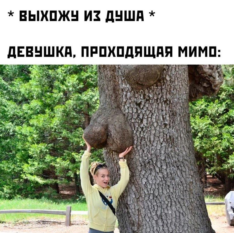 Смешное дерево