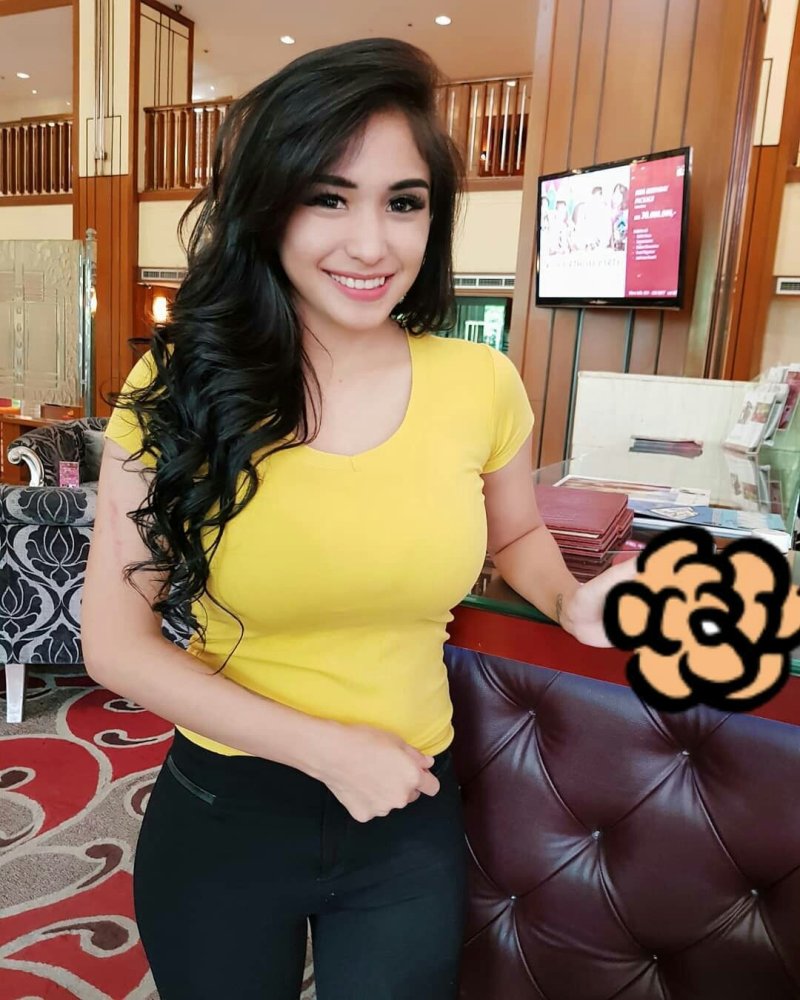 Bibie julius