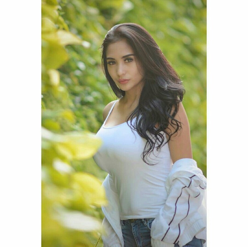 Bibie julius