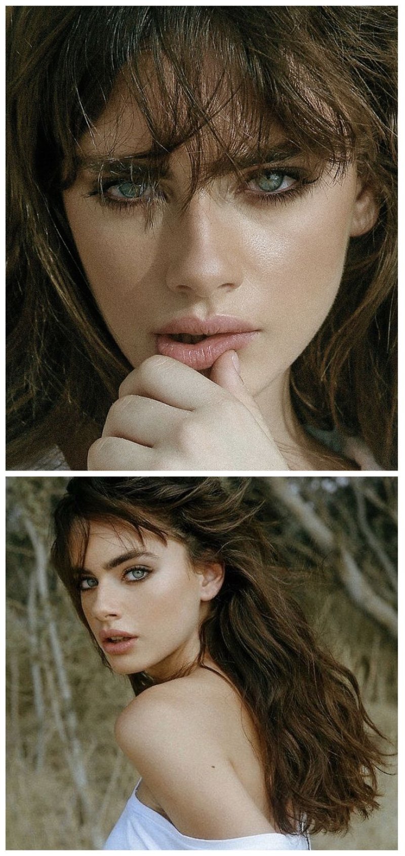 Yael shelbia