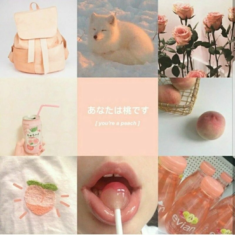 Коллаж эстетика персиковый