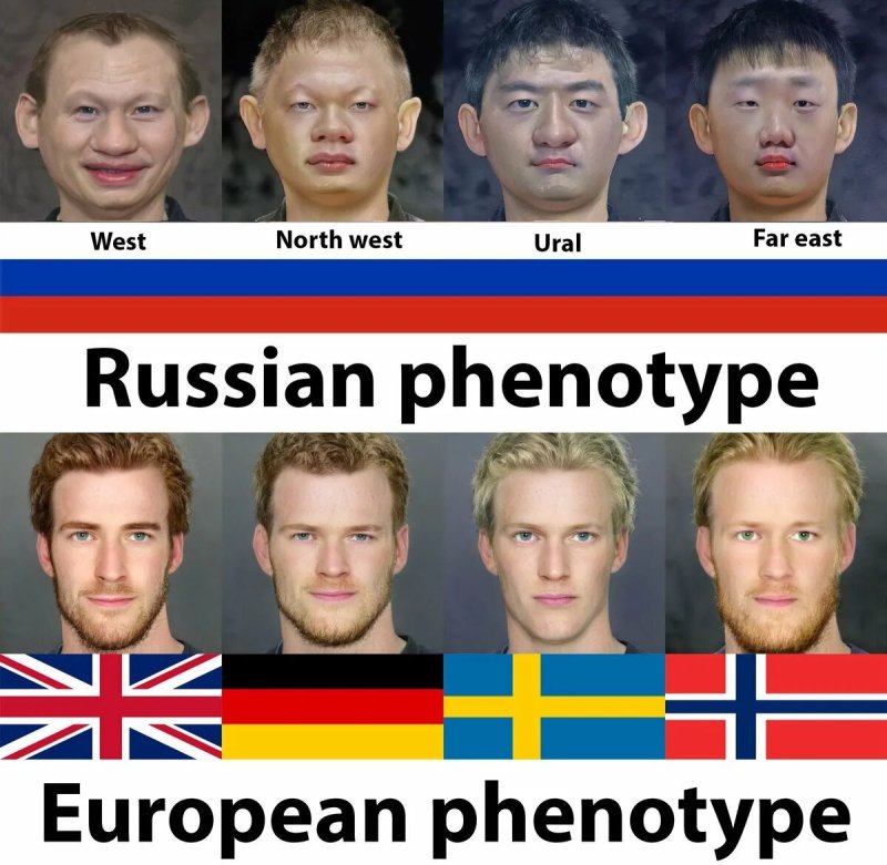Белая раса