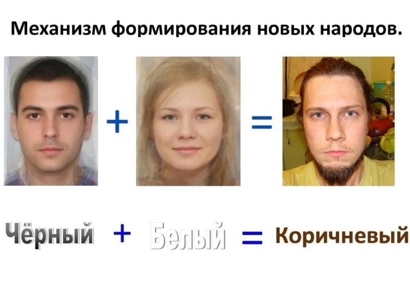 Западный балтид внешность