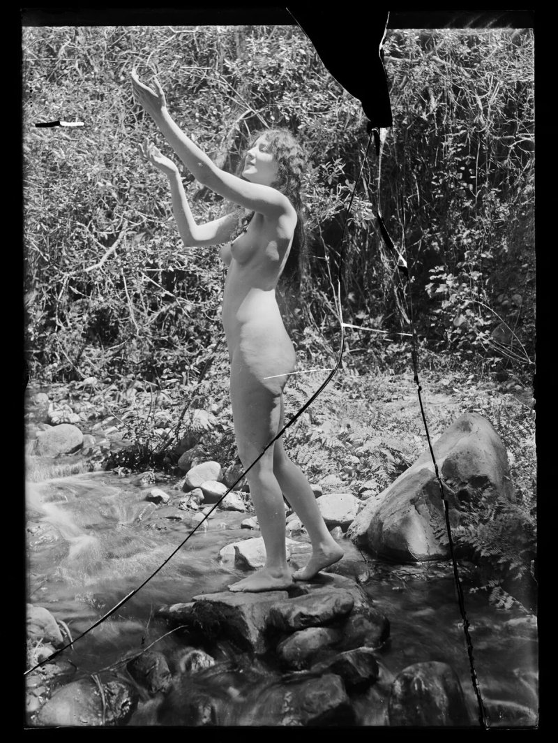 Albert arthur allen
