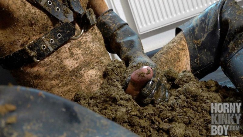Manure fetish
