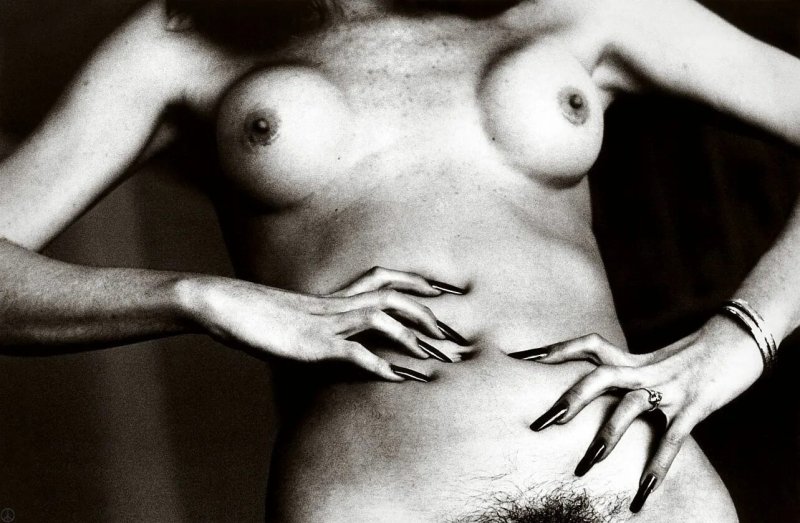 Хельмут ньютон карла бруни xxx